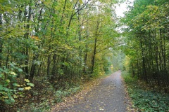 Plänterwald-WalkYourDog-7