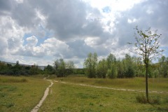 Regine-Hildebrandt-Park-WalkYourDog2