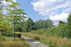 Regine-Hildebrandt-Park-WalkYourDog3