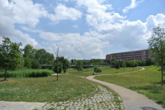 Regine-Hildebrandt-Park-WalkYourDog4