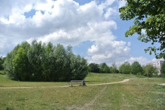 Regine-Hildebrandt-Park-WalkYourDog5
