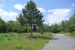Regine-Hildebrandt-Park-WalkYourDog6