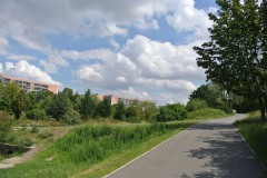 Regine-Hildebrandt-Park-WalkYourDog7
