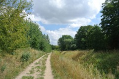 Regine-Hildebrandt-Park-WalkYourDog9
