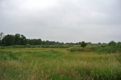 Rieselfelder-Karolinenhoehe-WalkYourDog-2