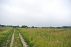 Rieselfelder-Karolinenhoehe-WalkYourDog-3