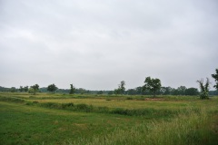 Rieselfelder-Karolinenhoehe-WalkYourDog-6