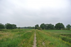 Rieselfelder-Karolinenhoehe-WalkYourDog-8