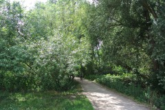 Rohrbruchpark-WalkYourDog-1