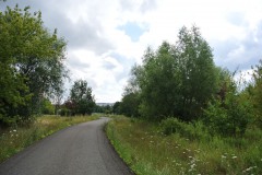 Rohrbruchpark-WalkYourDog-10