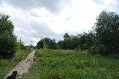 Rohrbruchpark-WalkYourDog-2