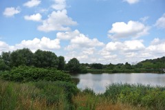 Rohrbruchpark-WalkYourDog-3