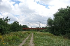 Rohrbruchpark-WalkYourDog-5