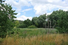 Rohrbruchpark-WalkYourDog-7