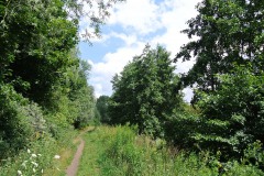 Rohrbruchpark-WalkYourDog-8