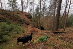Sächsische Schweiz mit Hund WalkYourDog 03