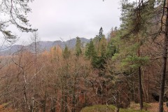 Sächsische Schweiz mit Hund WalkYourDog 04