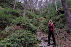 Sächsische Schweiz mit Hund WalkYourDog 12
