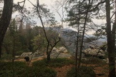 Sächsische Schweiz mit Hund WalkYourDog 09