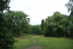 Schillerpark-WalkYourDog-1