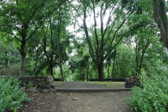 Schillerpark-WalkYourDog-2