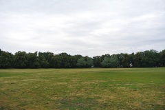Schillerpark-WalkYourDog-4