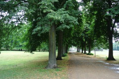 Schillerpark-WalkYourDog-6