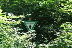 Schlosspark-Buch-WalkYourDog-1
