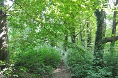 Schlosspark-Buch-WalkYourDog-2