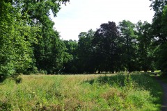 Schlosspark-Buch-WalkYourDog-3