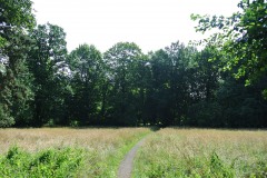 Schlosspark-Buch-WalkYourDog-4