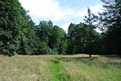 Schlosspark-Buch-WalkYourDog-5