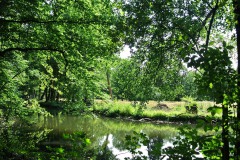 Schlosspark-Buch-WalkYourDog-6