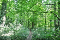 Schlosspark-Buch-WalkYourDog-7