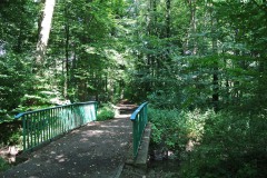 Schlosspark-Buch-WalkYourDog-8