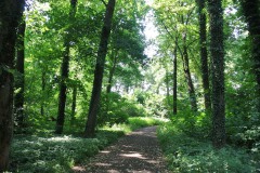 Schlosspark-Buch-WalkYourDog-9