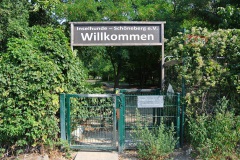 Schöneberger-Inselhunde-Walk-Your-Dog-1