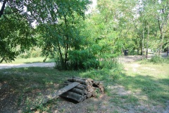 Schöneberger-Inselhunde-Walk-Your-Dog-2