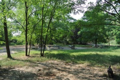 Schöneberger-Inselhunde-Walk-Your-Dog-4