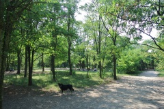 Schöneberger-Inselhunde-Walk-Your-Dog-5