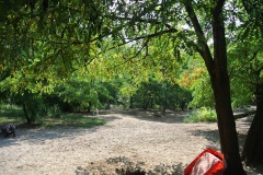 Schöneberger-Inselhunde-Walk-Your-Dog-6