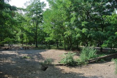 Schöneberger-Inselhunde-Walk-Your-Dog-8