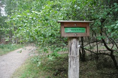 Spandauer-Forst-WalkYourDog-1