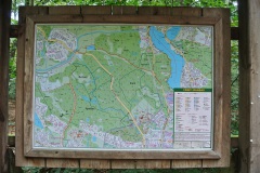 Spandauer-Forst-WalkYourDog-5