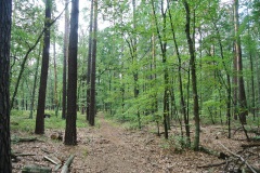Spandauer-Forst-WalkYourDog-6