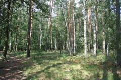 Spandauer-Forst-WalkYourDog-8
