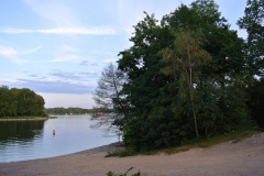 Tegeler-Forst-WalkYourDog-10
