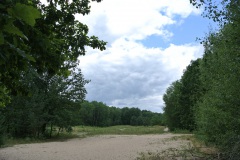 Tegeler-Forst-WalkYourDog-2