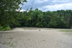 Tegeler-Forst-WalkYourDog-4