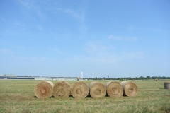 Tempelhofer-Feld-4